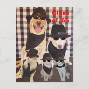 Klasse reunion Briefkaart/uitnodiging Uitnodiging Briefkaart