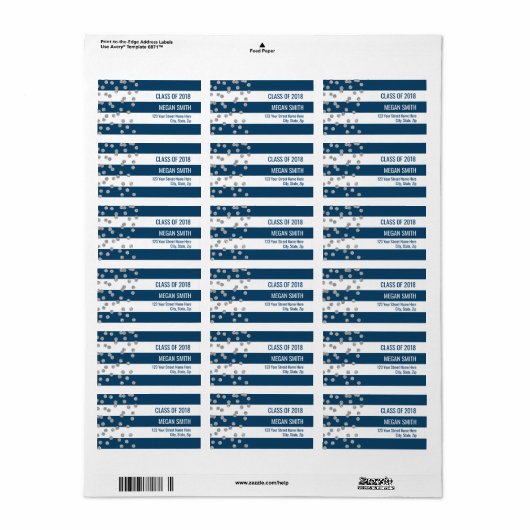 Klasse van 2018 Afstuderen Silver Blue Adreslabel Etiket (Full Sheet)