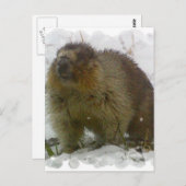 Klassiek Briefkaart (Voorkant / Achterkant)