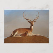 Klassiek Briefkaart voor schilderen (Voorkant)