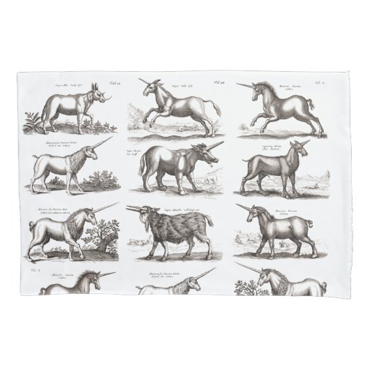 Klassiek Eenhoorn Antiek Mythisch Magisch Wezen Kussensloop (Voorkant)