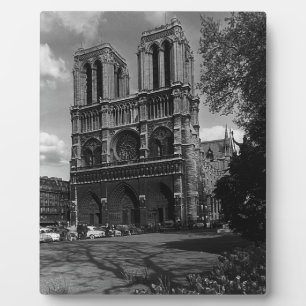 Klassiek Frankrijk Parijs Notre Dame Kathedraal 19 Fotoplaat