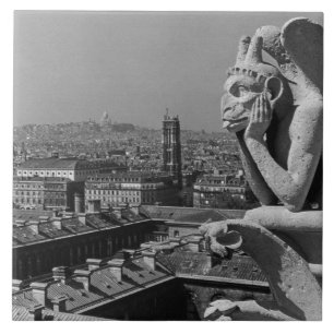 Klassiek Frankrijk Parijs Notre Dame Kathedraal de Tegeltje