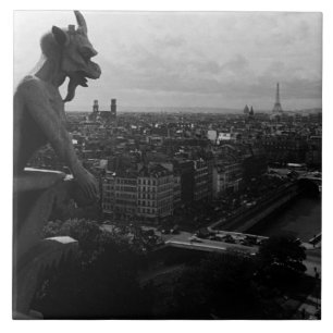 Klassiek Frankrijk Parijs Notre Dame Kathedraal du Tegeltje