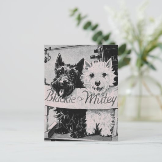 * Klassiek koekje Roze Briefkaart * (Staand voorkant)