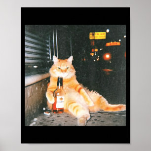 Klassiek meme van kat dronken op nachtrustig straa poster