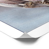 Klassiek poster met nog leven (Hoek)