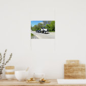 Klassiek Poster van de Naaldneus Pete (Keuken)