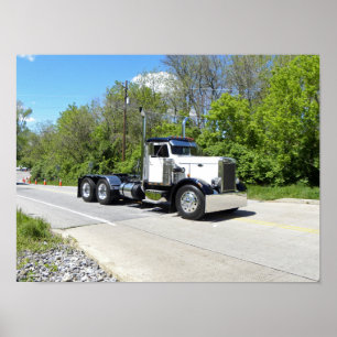 Klassiek Poster van de Naaldneus Pete