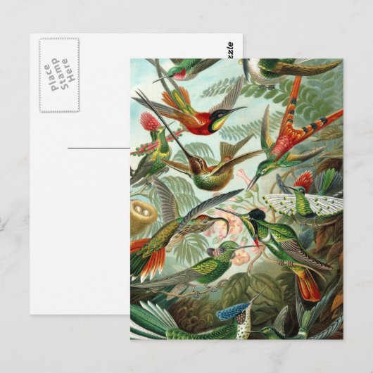 klassiek schilderij van vogel- en wildvogelsoorten briefkaart (Voorkant / Achterkant)