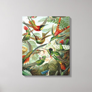 klassiek schilderij van vogel- en wildvogelsoorten canvas afdruk