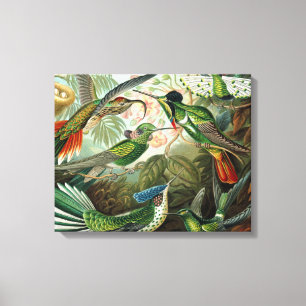klassiek schilderij van vogel- en wildvogelsoorten canvas afdruk
