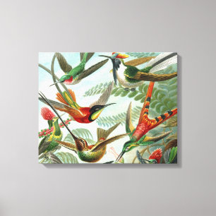 klassiek schilderij van vogel- en wildvogelsoorten canvas afdruk