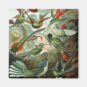 klassiek schilderij van vogel- en wildvogelsoorten magneet
