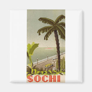 Klassiek Sochi Marine Station Fijne Kunst Reis Magneet