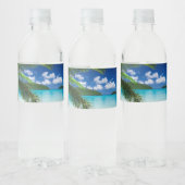 Klassiek tropisch eilandstrand paradijs waterfles etiket (Flessen)