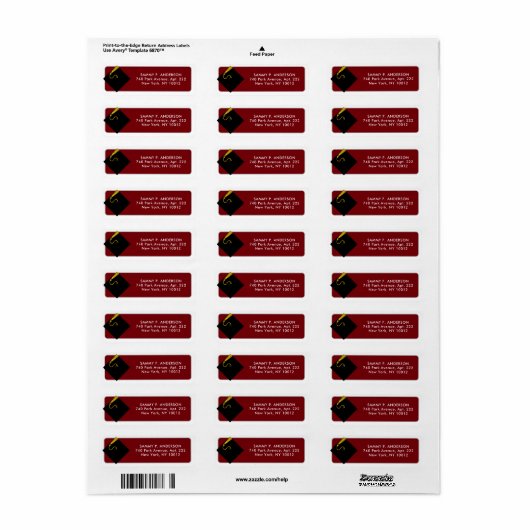 Klassieke Afstuderen Return Address Labels (Full Sheet)