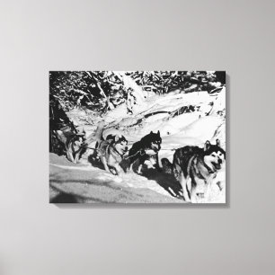 Klassieke Alaska eskimo Malamute slee racen Canvas Afdruk