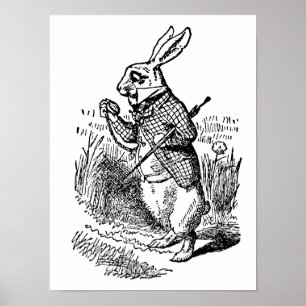 Klassieke Alice in Wonderland de Witte Konijn Horl Poster