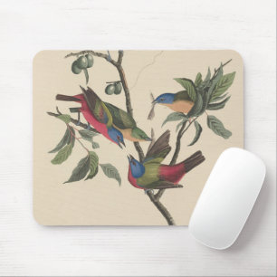 Klassieke Audubon Geschilderde Gors Kleurrijke Vog Muismat