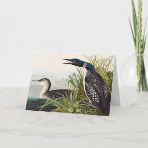 Klassieke Audubon-illustratie van de Amerikaanse f Bedankkaart