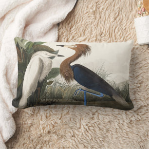 Klassieke Audubon kunst van de Rode Reiger vogel Kussen