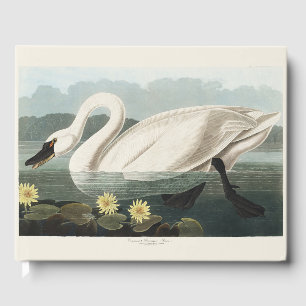Klassieke Audubon White Swan Waterlelie Kunst Gastenboek