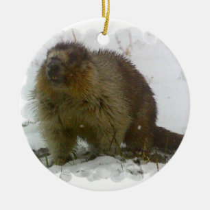 Klassieke Beaver Ornament