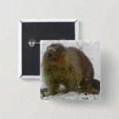 Klassieke Beavers Square Pin Vierkante Button 5,1 Cm (Voorkant /achterkant)