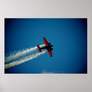 Klassieke beuk 18 Vliegtuig Poster