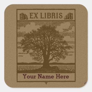 Klassieke Boom met Boeken Ex Libris Boekplaat Vierkante Sticker