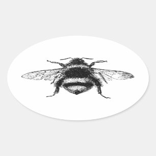 Klassieke borrelbijen ovale sticker