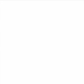 Klassieke botanische illustratie – Elegante bloemk Sticker (Voorkant)