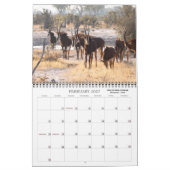 KLASSIEKE BOTSWANA FOTO SAFARI KALENDER (Feb 2027)