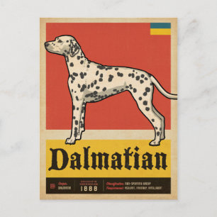 Klassieke Dalmation Briefkaart