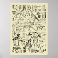 Klassieke dinosaurusbot fossiele kunst