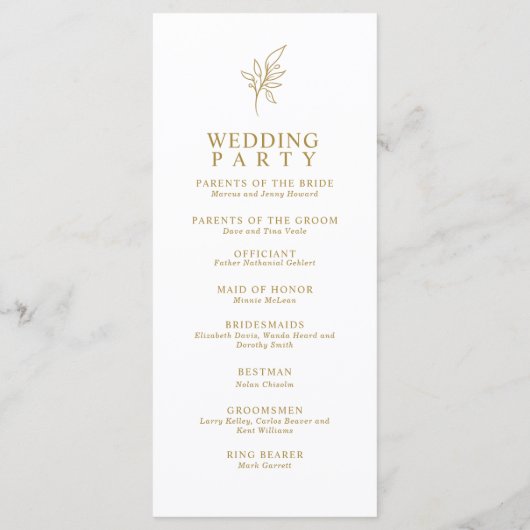 Klassieke Eenvoudige Minimalistische Vlakke progra Programma (Achterkant)