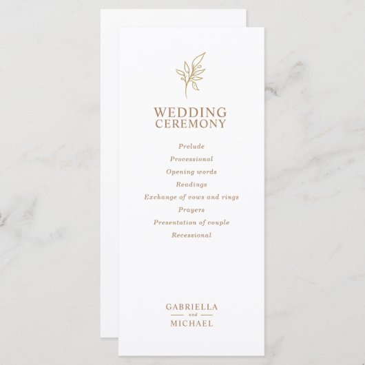 Klassieke Eenvoudige Minimalistische Vlakke progra Programma (Voorkant / Achterkant)