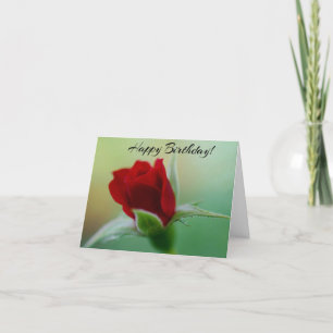 Klassieke Elegance Red Rose Birthday Card Kaart
