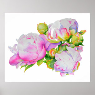 Klassieke elegante roze witte pioen florale waterv poster