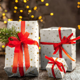 Klassieke Elegante Witte Gouden Zilveren Kerstster Inpakpapier Vel