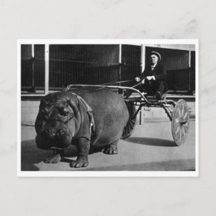 Klassieke foto-Briefkaart Briefkaart