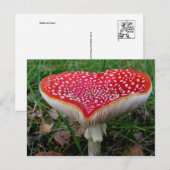 Klassieke foto-Briefkaart Briefkaart (Voorkant / Achterkant)