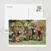 Klassieke foto-Briefkaart Briefkaart (Voorkant / Achterkant)