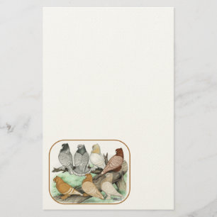 Klassieke Frill Pigeons Blondinettes Briefpapier