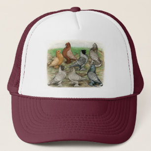 Klassieke Frill Pigeons Laced Blondinettes Trucker Pet