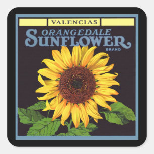 Klassieke Fruitkist Label Kunst Orangedale Zonnebl