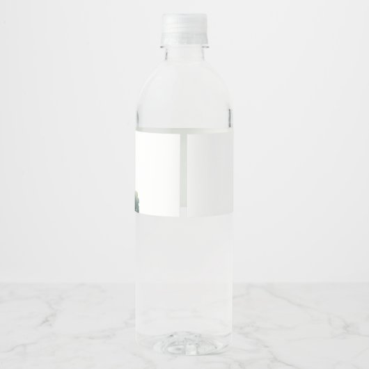 Klassieke Golf Verjaardagsfeestje Waterfles Label Waterfles Etiket (Achterkant)