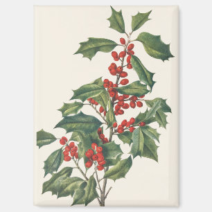 Klassieke Kerstmis Hulst met Rode Bessen Kunst Magneet