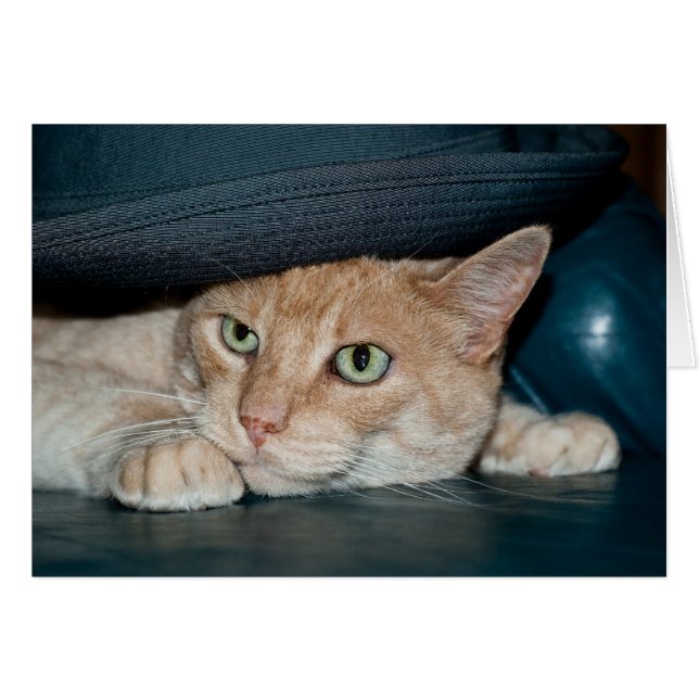 Klassieke kool (Voorkant Horizontaal)